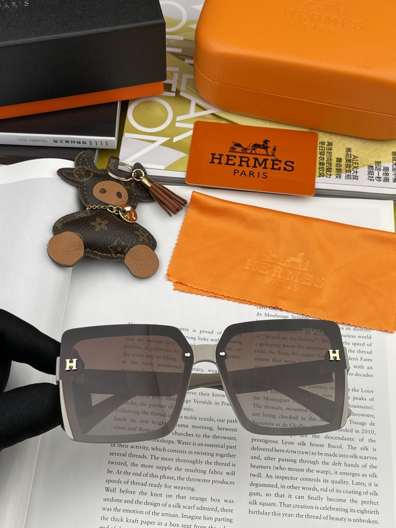 Hermes Sunglasses